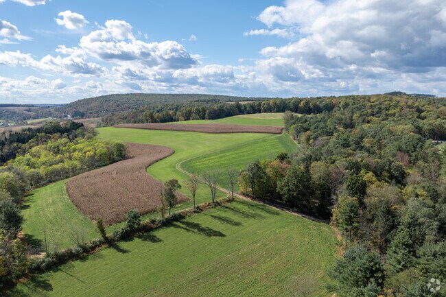 The Jordan area is filled will rolling green hills and tall trees.