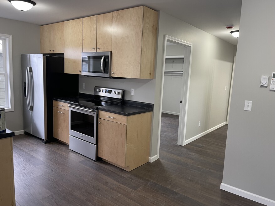 995 Madison Ave, Braidwood, IL 60408 - photo 1