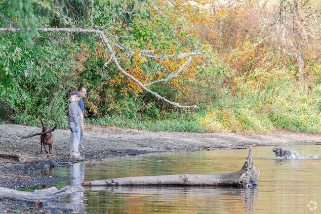 A common sight to see at Hicks Lake in The Lakes WA.