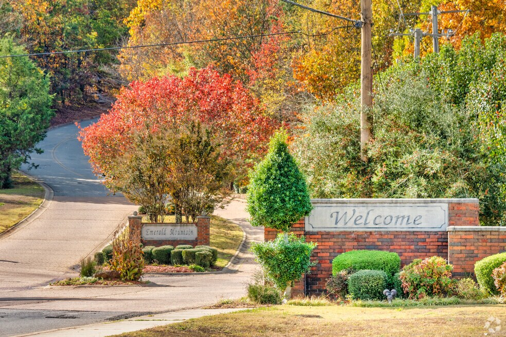 Neighborhood_Alexander_022124