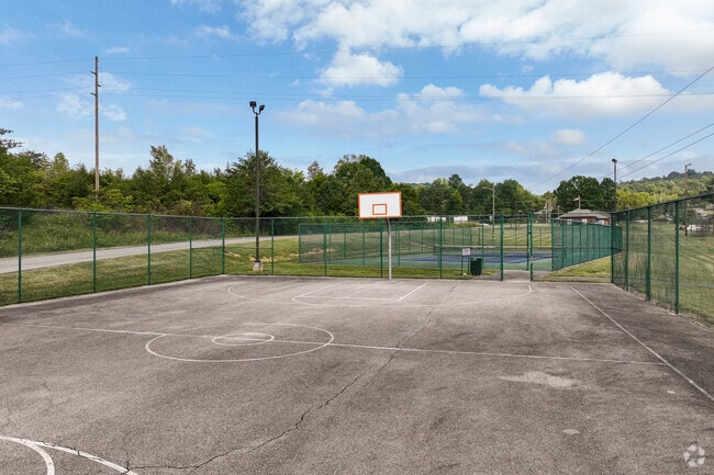 The public park in Luttrell has something for everyone, including a basketball court.