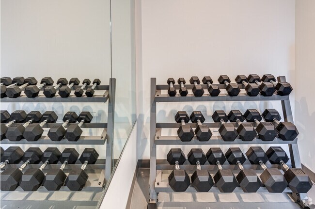 8 Burney St unit 5, Roxbury Crossing, MA 02120 - photo 4