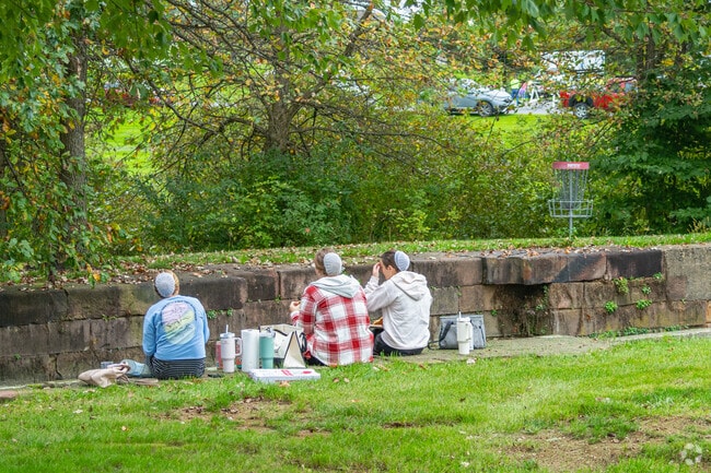 Locals picnic by the creek at Jackson Recreation Park near Myerstown.