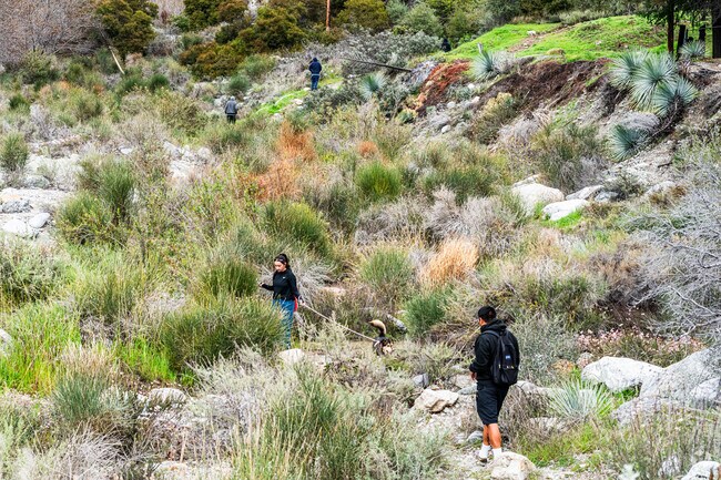 On the North end of San Antonio Heights, locals enjoy a morning hike on Joatngna Trail.