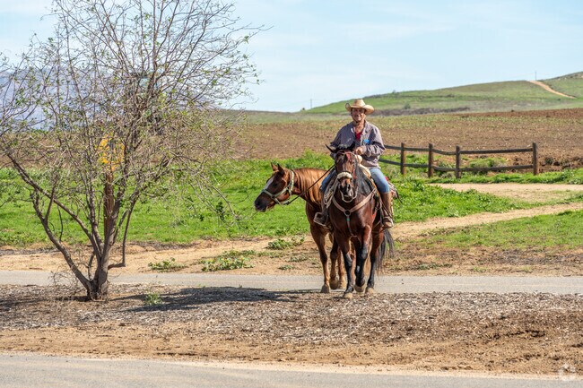 Encounter horse riders along the scenic trails of Santa Ana River.