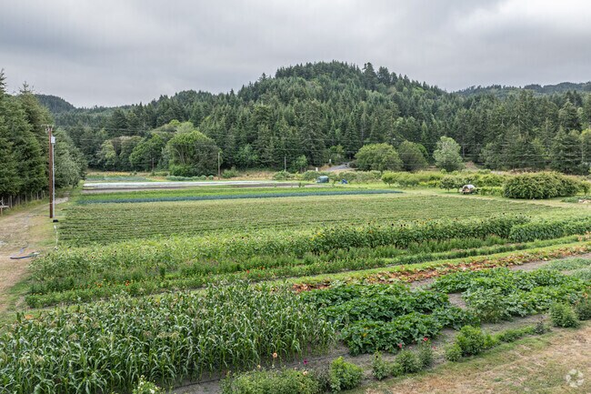 Valley Flora farms is tranquil place for locals to spend a sunny afternoon.