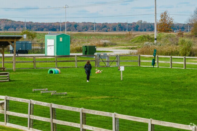 There are several park options near Union-Jasper for pet owners to take their dogs out to play.