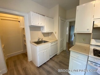 20 Alton Place Unit 2, Brookline, MA 02446