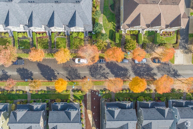 Overhead view of a colorful street in Canterwood neighborhood behind Target.