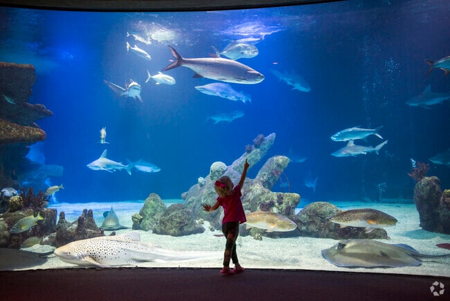 Take a journey down the Rio Grande to the Gulf of Mexico and beyond at the BioPark Aquarium, just 15 minutes away from North Valley.