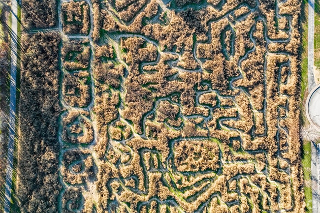 Locals of Godfrey can enjoy the maze at Glazebrook during fall.