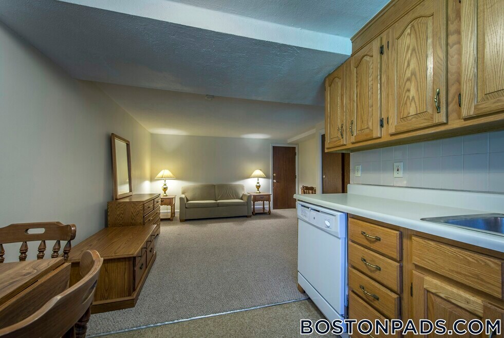 15 Chester St unit 24, Cambridge, MA 02140 - photo 1