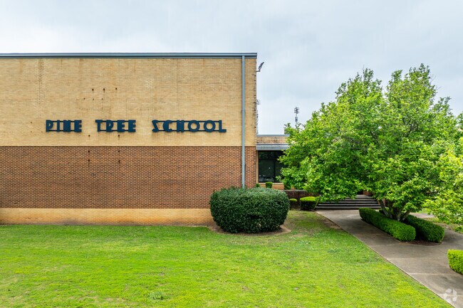 Pine Tree Primary School