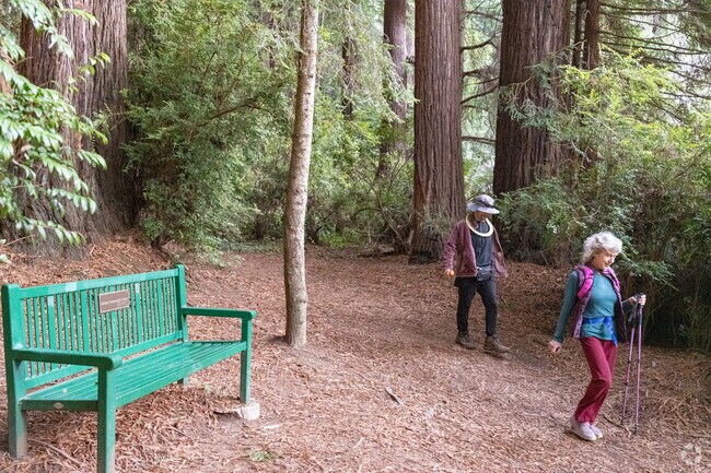 Hiking is a popular activity at Redwood Park.