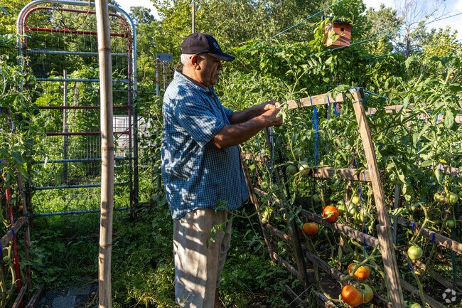 Large garden plots are available to residents of Fry's Spring to grow fruits and vegetables.