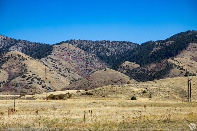 Beautiful stretches of rolling hills line the outskirts of Hyde Park.