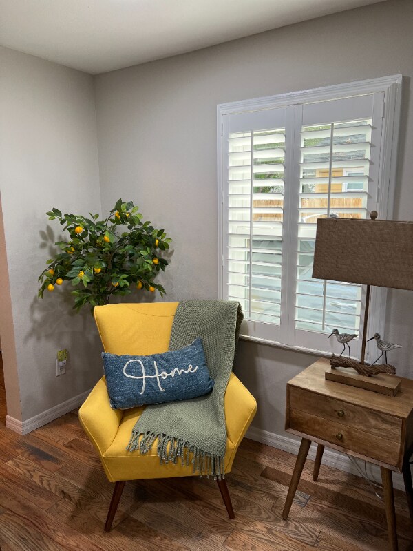 917 Pinellas St, Clearwater, FL 33756 - photo 5