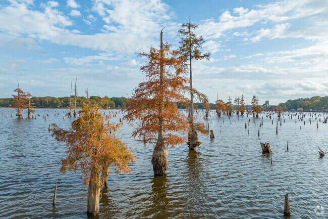 Lake Conway, a popular destination for fishing and boating, is just north of Morgan.