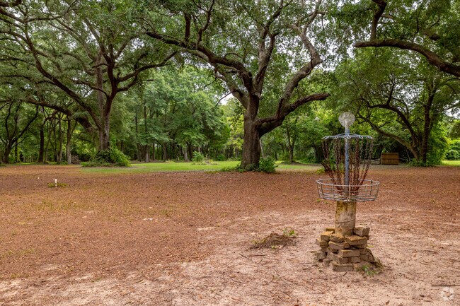 The frisbee golf course at Live Oak Park meanders beneath giant oak trees in Privateer.