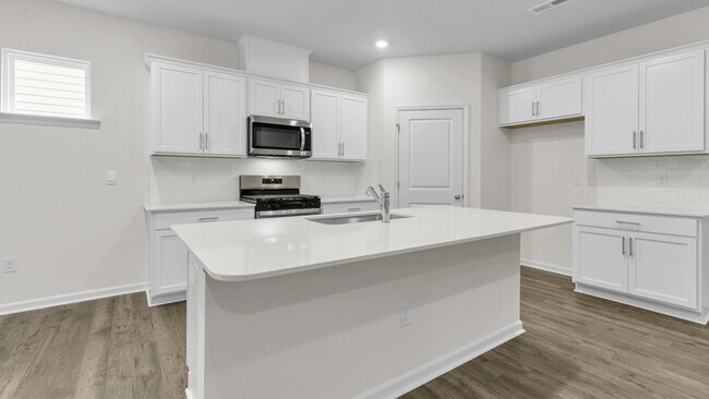 805 Comice Pear Way, Willow Springs, NC 27592 - photo 4