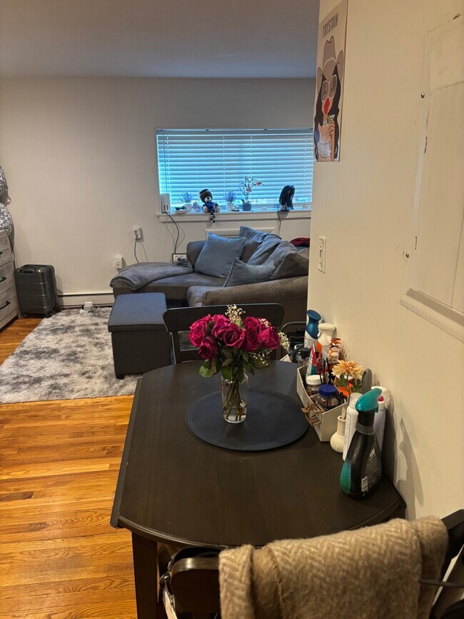 15 Euston Rd unit 2, Brighton, MA 02135 - photo 4