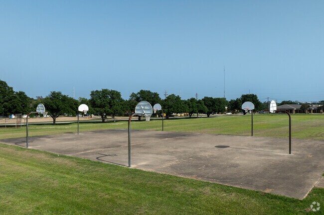 Unleash your inner athlete on Bryan Collegiate High School's basketball court.