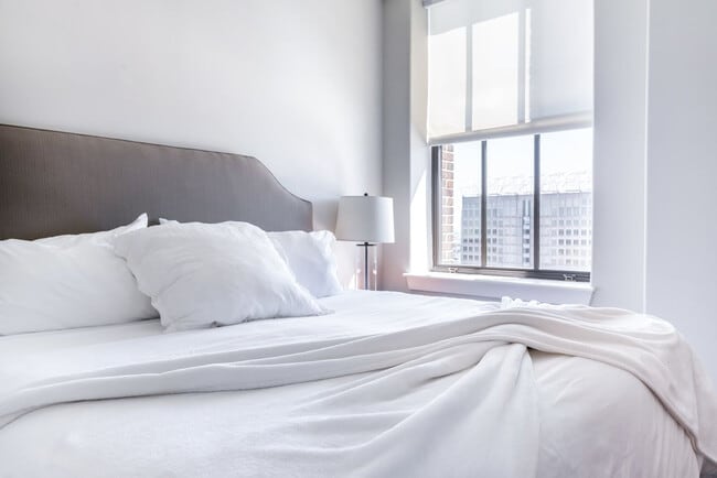 10 Light St unit FL24-ID1024639P, Baltimore, MD 21202 - photo 4