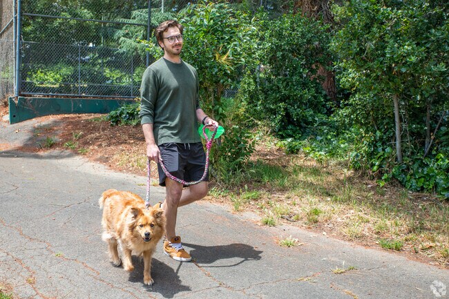 Dogs and their humans love walking through Allendale and playing fetch in Brookdale Park.
