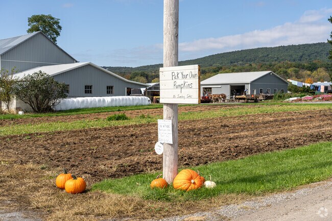 Local Amish farms sell their wares along the road in Bastress, but not on Sundays.