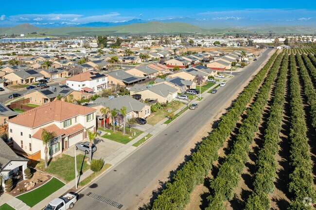 The home of Lindsay are just steps away from some of the most delicious citrus in the world.