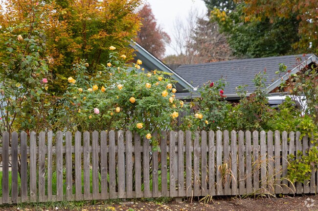 Many of the streets in Creswell Oregon have picket fences and beautiful flowers in the gardens.
