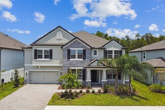 10616 New Morning Dr, Tampa, FL 33647