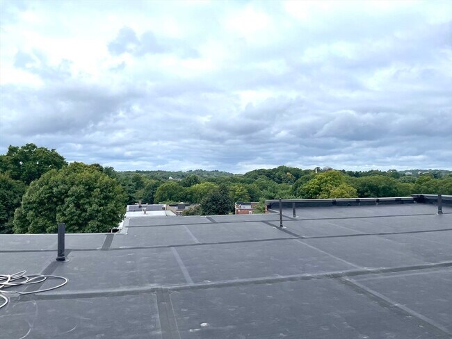 90 Bynner St unit 1, Jamaica Plain, MA 02130 - photo 5