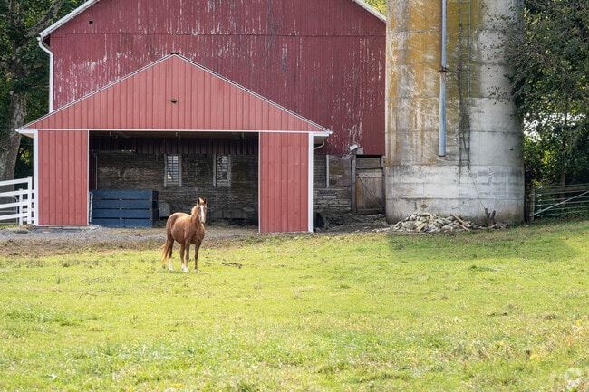 You're as likely to have four-legged neighbors as two in West Cornwall.