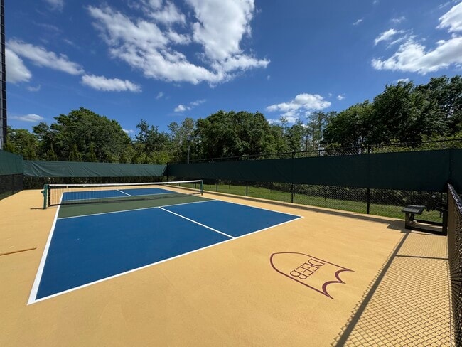 Pickleball Court