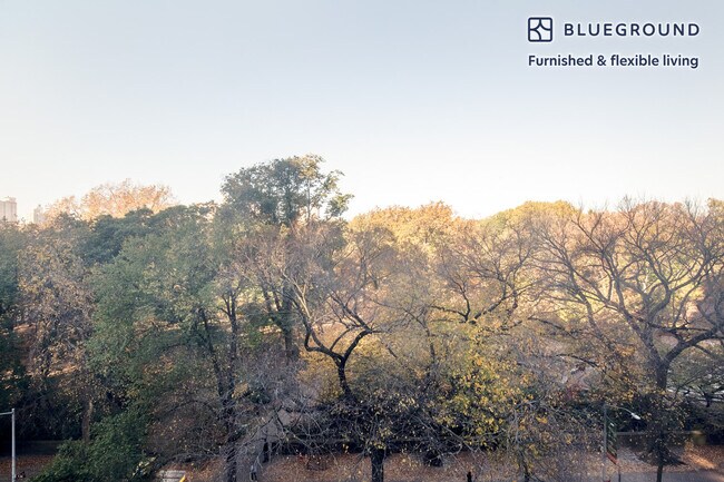 952 5th Ave unit FL6-ID998, New York, NY 10075 - photo 5