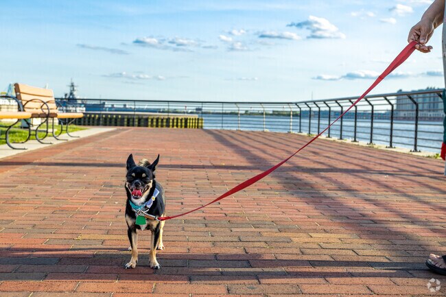 Bring your pup for a walk on the waterfront RCA Pier in Cooper Grant.