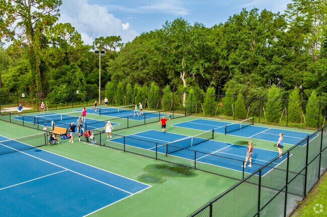 The exciting new sport of Pickle Ball with leagues at parks in Odessa.