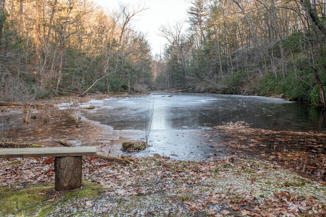 A pond at Robert Hills Conservation Area in Leeds is a nice spot to reflect on your life.
