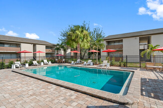 13101 Aarans Pond Dr, Tampa, FL 33612
