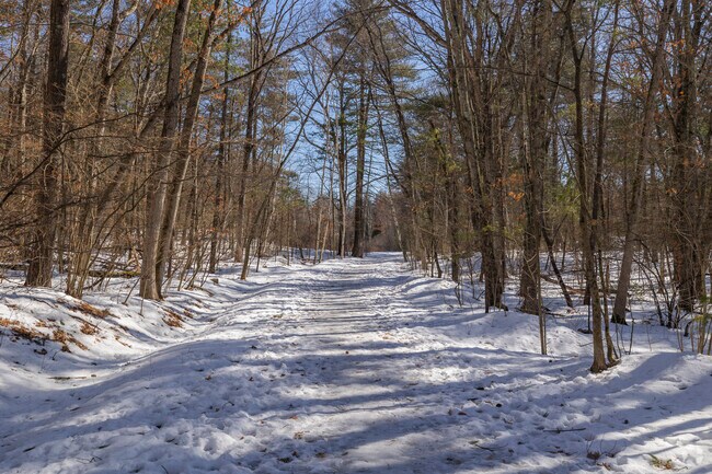 Salem Woods offers scenic trails, peaceful woodlands, and a perfect escape into nature right in the heart of Salem.
