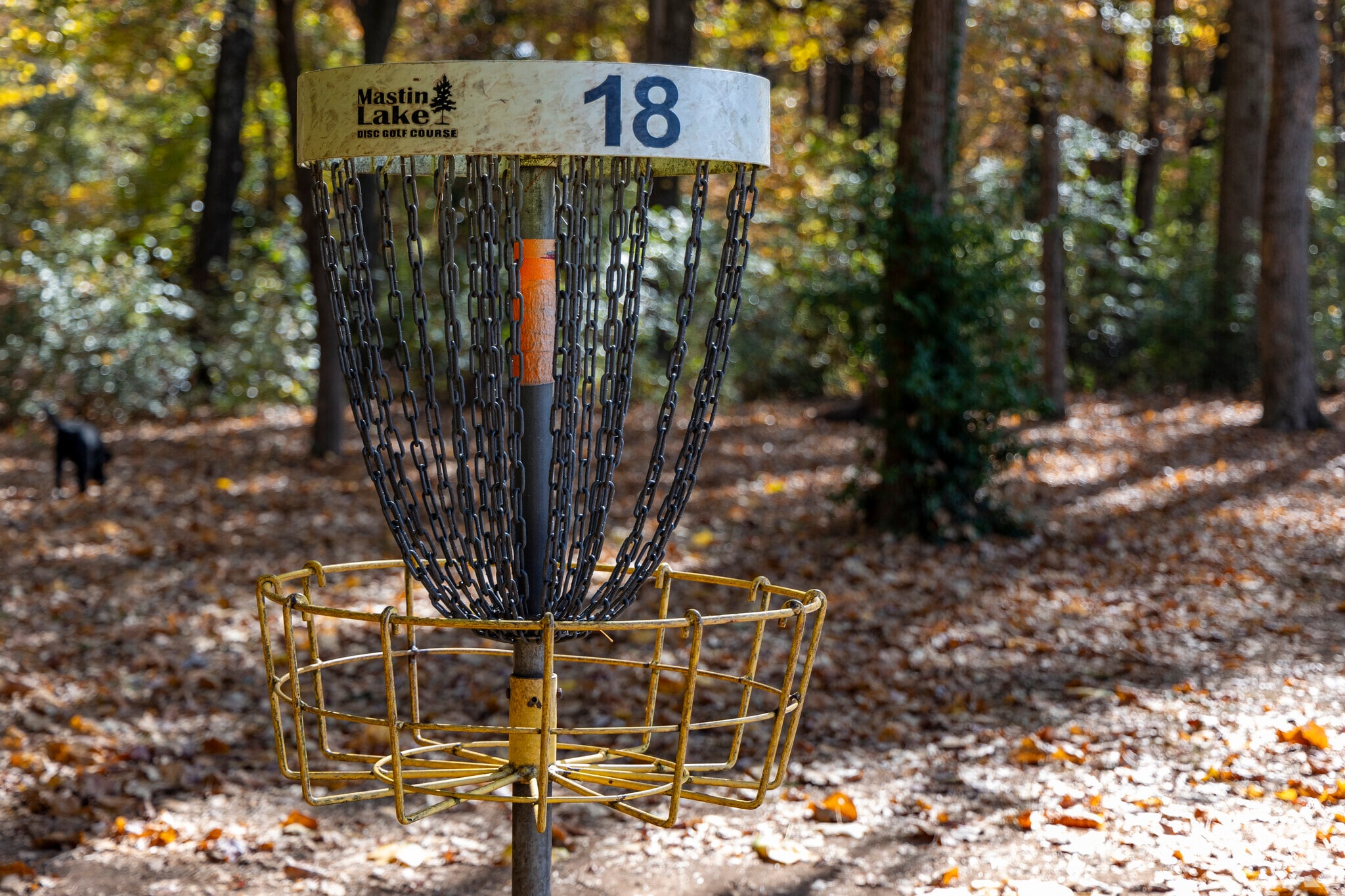 About Mastin Lake Park Schools, Demographics, Things to Do