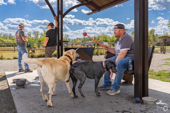 A Bozeman resident enjoys bringing his dogs to the Lewis & Bark Dog Park.