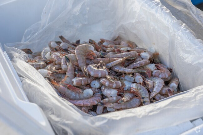 Residents shop for local shrimp at Mount Pleasant Seafood on Shem Creek.
