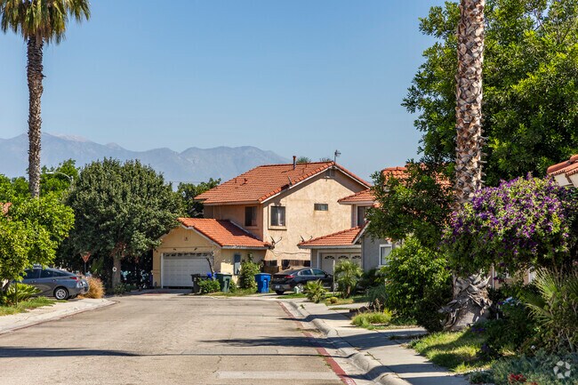 The San Bernardino Mountains offer spectacular views from any street.