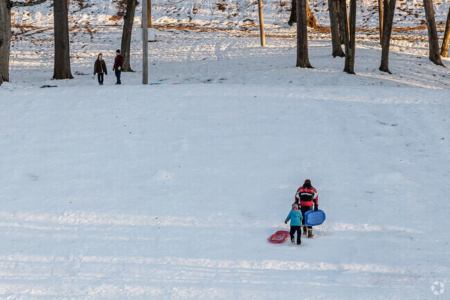 The steep hills of Manchester's Center Springs Park are a favorite local sledding spot.