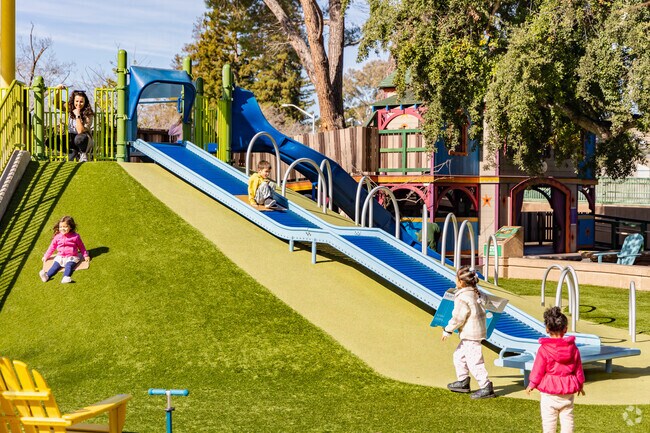 Inclusive fun awaits at Mitchell Park’s Magical Bridge Playground, a community favorite.