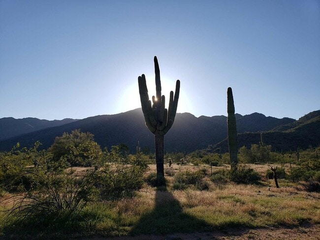 Windrose - Surrounding Area