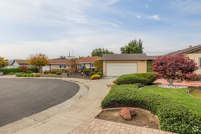 The vast majority of homes in Los Prados are single-story ranch-style homes.