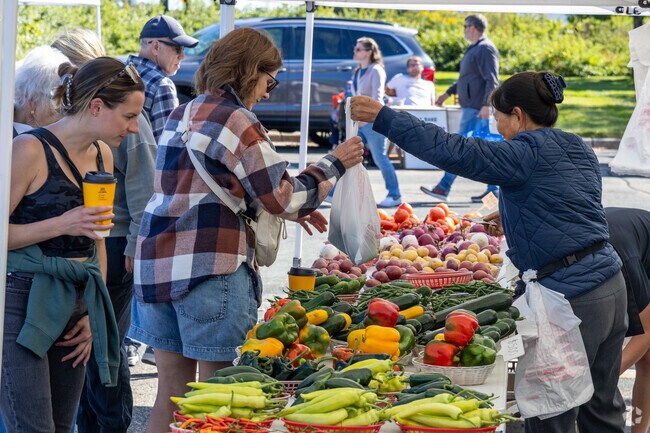 Friendly service from local farmers is what you can expect at the Bloomington Farmer's Market.